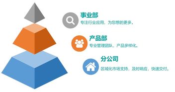 應屆生公司簡介 技術服務團隊